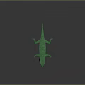 Green Lizard 3D Model With Low Poly Design Yellow Eyes And Smooth Surface 3d model