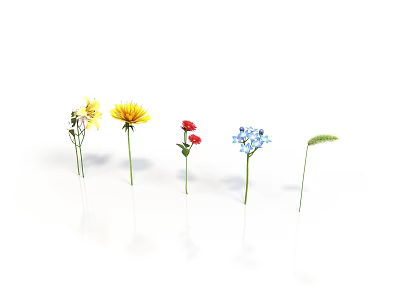 Colorful Flowers and Green Plants in Different Colors Arranged on White Background with Reflection 3d model