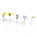 Colorful Flowers and Green Plants in Different Colors Arranged on White Background with Reflection