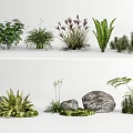Various Types of Green Plants and Flowers with Natural Stones for Garden Decoration