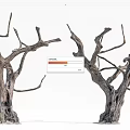 Leafless Trees With Twisted Branches And Thick Trunks Displaying Bark Texture 3d model