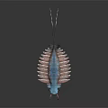 Vibrant Prehistoric Creature Featuring Blue Pinkish Segmented Body Multiple Spiny Appendages And Forked Tail