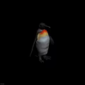 King Penguin With Black Head White Belly And Orange Neck Patch Standing 3d model