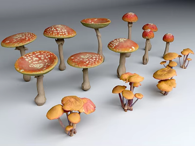 Poison mushroom Red umbrella Ganoderma lucidum mushroom 3d model Poison mushroom Red umbrella Ganoderma lucidum mushroom 3d model