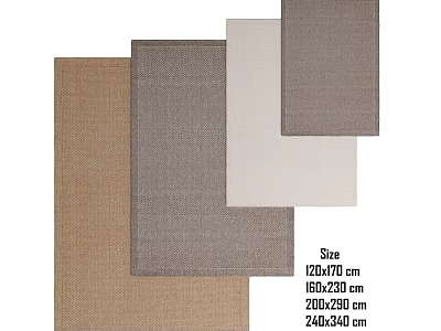Square Rugs with Brown Grey Beige Colors and Sizes 120x120 160x230 200x290 cm 3d model