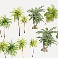 Trees Tropical Trees Coconut Trees Palm Trees Landscape Trees Seaside Landscape Green Planting 3d model