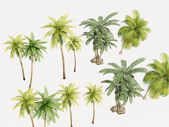 Trees Tropical Trees Coconut Trees Palm Trees Landscape Trees Seaside Landscape Green Planting 3d model