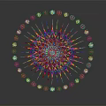 Colorful Mandala Art Design Featuring Symmetrical Radial Patterns And Floral Decorations