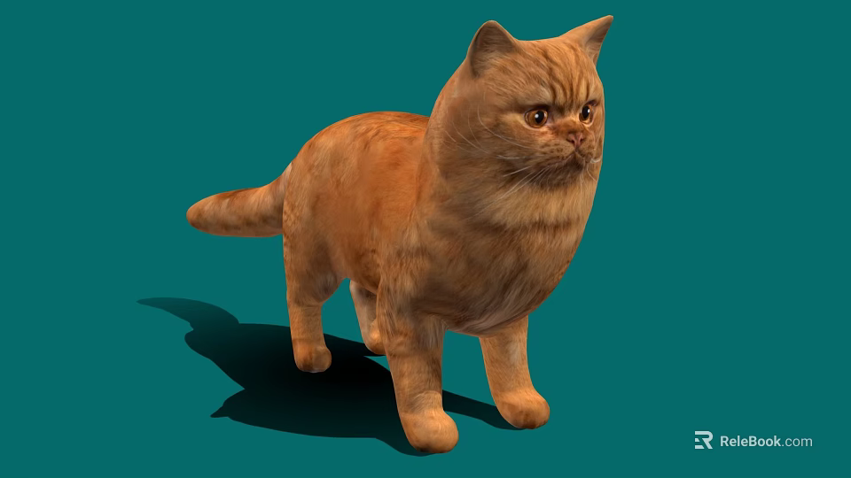 Cute Fluffy Orange Cat Standing On Green Background With Soft Fur And Shadow Details 3d model 