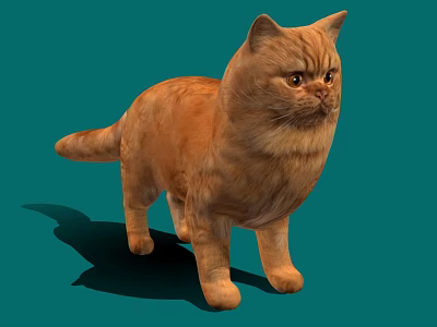 Cute Fluffy Orange Cat Standing On Green Background With Soft Fur And Shadow Details 3d model