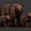Three Brown Bears Adult And Two Cubs Standing Together On Gray Background