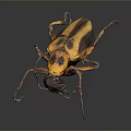 Yellow and Black Striped Beetle With Detailed Body And Long Legs On Dark Background