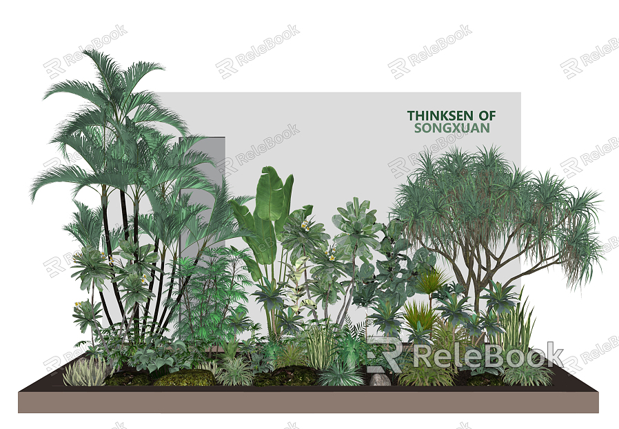 Modern Plant Plant Heap model