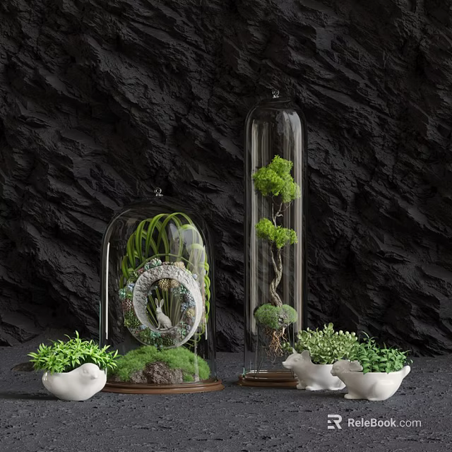 Decorative Bonsai Plants in Glass Cloches with Green Foliage and White Pots on Dark Background 3d model 