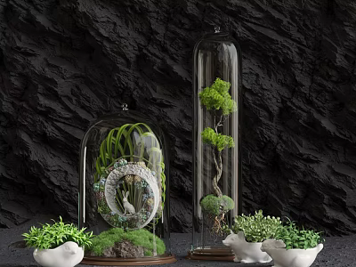 Decorative Bonsai Plants in Glass Cloches with Green Foliage and White Pots on Dark Background 3d model