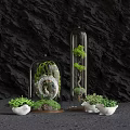 Decorative Bonsai Plants in Glass Cloches with Green Foliage and White Pots on Dark Background