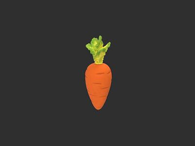 Fresh Organic Carrot With Green Leafy Tops On Black Background 3d model