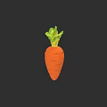 Fresh Organic Carrot With Green Leafy Tops On Black Background