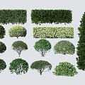 Various Types of Garden Shrubs in Different Shapes and Lush Green Foliage