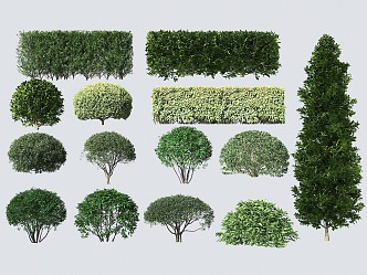 bush ball hedge 3d model