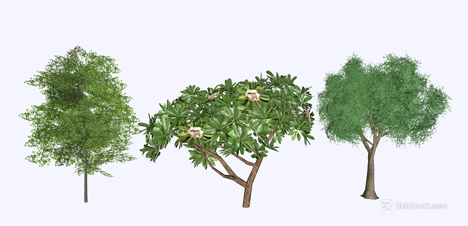 Three Different Types of Trees Featuring Varying Leaf Colors White Flowers and Distinct Trunks 3d model 