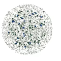 Round Flower Bed With White And Blue Blooms And Green Grass