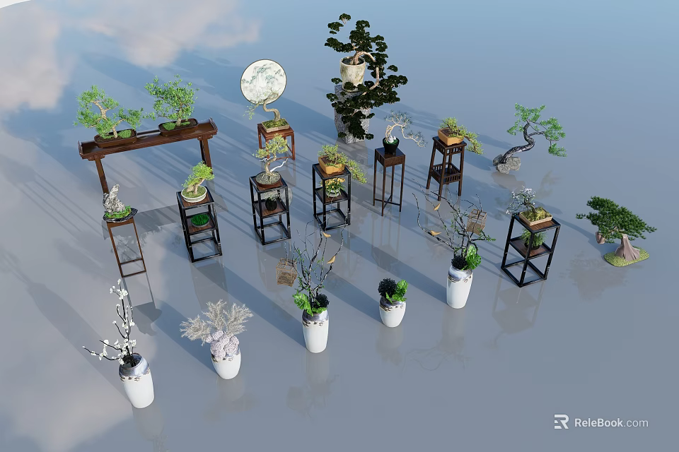 Various Decorative Potted Plants With Wooden Stands And White Ceramic Pots 3d model 
