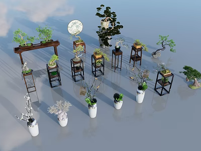 Various Decorative Potted Plants With Wooden Stands And White Ceramic Pots 3d model