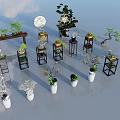 Various Decorative Potted Plants With Wooden Stands And White Ceramic Pots