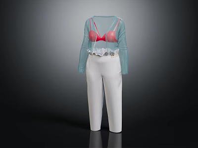 Transparent Long Sleeve Top With Red Bra And White High Waist Pants 3d model