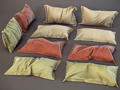 Multicolored Decorative Throw Pillows With Soft Textures For Home Sofa Decor 3d model