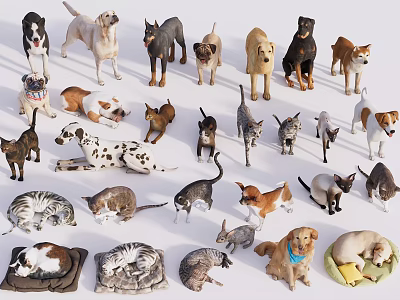 Diverse Reptile Species in Various Poses Including Crawling and Resting Postures 3d model