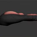 Detailed Animal Paw With Five Pink Toe Pads And Dark Textured Surface