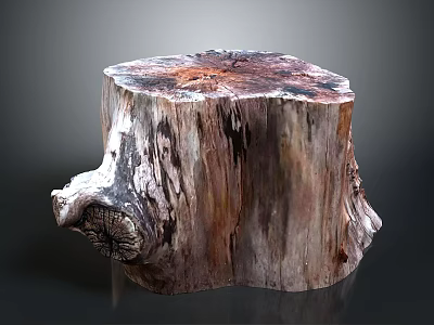 Natural Wooden Stump Decor Piece With Rustic Texture And Organic Shape 3d model