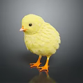 Cute Yellow Baby Chicken With Fluffy Feathers And Orange Feet On Dark Background