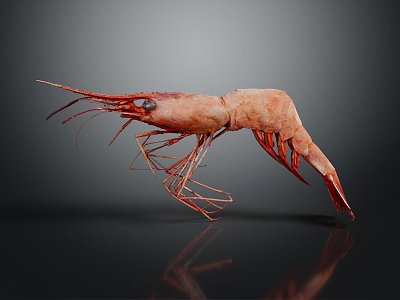 Modern Prawn Lobster Large Lobster Crystal Lobster 3d model