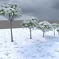 Snow Covered Tall Trees In Winter Snowy Landscape With Rocks And Overcast Sky