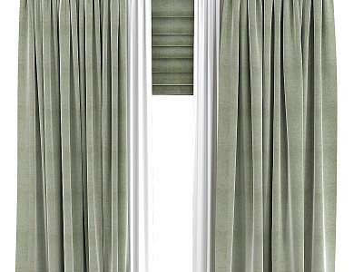 Interior Curtain model