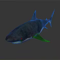 Realistic 3D Shark Model With Detailed Fins And Dark Background Texture