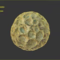 Unique Wooden Stone Sphere With Intricate Pockmarked Surface And Mixed Color Tones