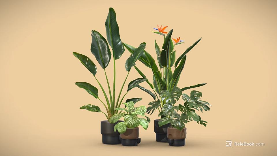 Decorative Green Potted Plants With Various Large Leaves And Flowering Species In Black Brown Pots 3d model 