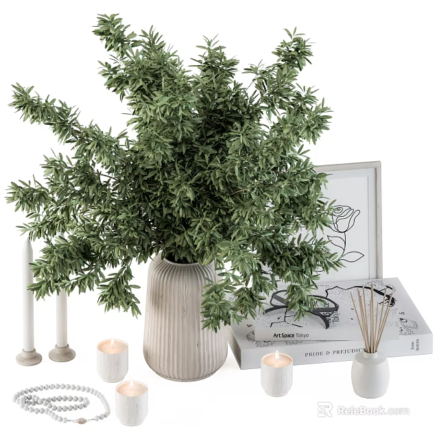 Stylish Decorative Ornament Set with Green Plant in Ceramic Vase Candles Picture Frame and Books 3d model 