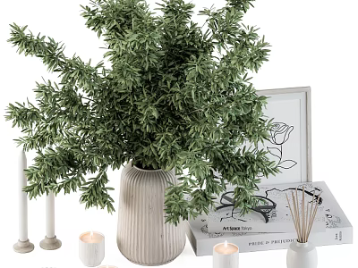Stylish Decorative Ornament Set with Green Plant in Ceramic Vase Candles Picture Frame and Books 3d model