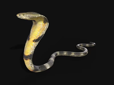 King Cobra Past Mountain Air Flat Snake Viper Reptile Cobra Beast Beast 3d model