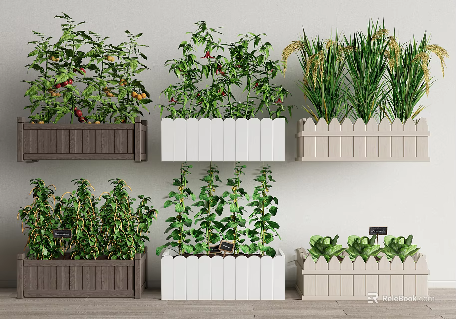 Various Crops Growing in Brown White and Beige Planters Against White Wall and Wooden Floor 3d model 