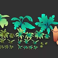 Various Green Tropical Plants With Large Leaves And Ceramic Pots