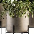 Modern Potted Plants in Gray Pots on Black Metal Stands with Lush Green Foliage