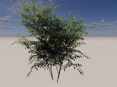 Lush Green Shrub With Dense Foliage Against Blue Sky And White Clouds 3d model
