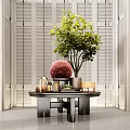 Modern Luxury Entryway Side Cabinet With Exquisite Ornaments And Fresh Potted Green Plant