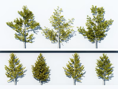 Various Arbor Trees With Green Foliage And Natural Shapes For Landscaping 3d model